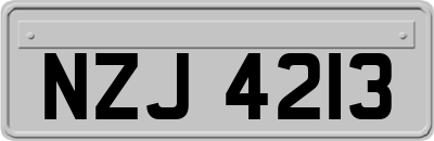 NZJ4213