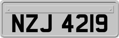 NZJ4219