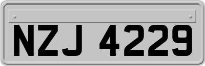 NZJ4229