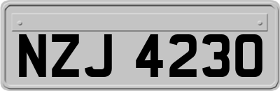 NZJ4230