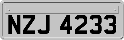 NZJ4233