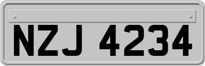 NZJ4234
