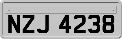 NZJ4238