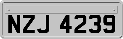 NZJ4239