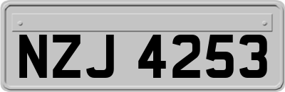 NZJ4253