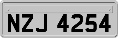 NZJ4254