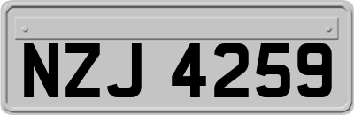NZJ4259