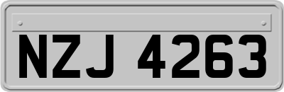NZJ4263