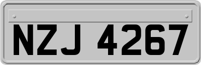 NZJ4267