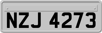 NZJ4273