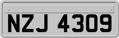 NZJ4309