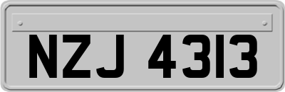 NZJ4313