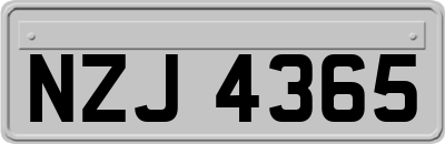 NZJ4365