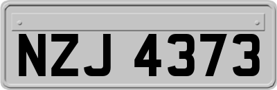 NZJ4373