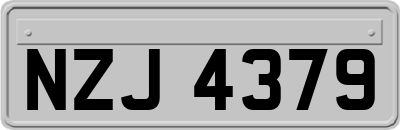 NZJ4379