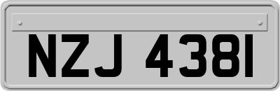 NZJ4381