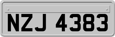 NZJ4383