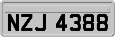 NZJ4388