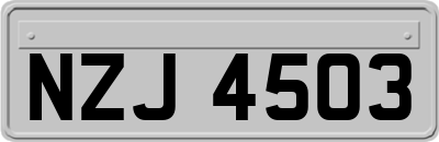 NZJ4503