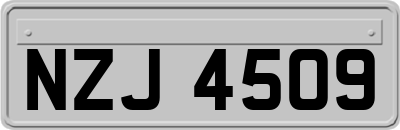 NZJ4509