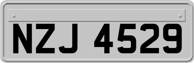 NZJ4529