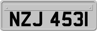 NZJ4531