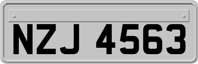 NZJ4563