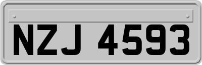 NZJ4593