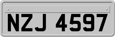 NZJ4597