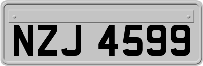 NZJ4599