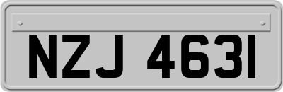 NZJ4631