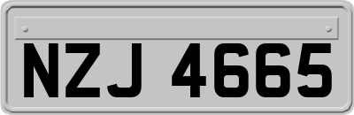 NZJ4665