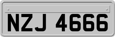 NZJ4666