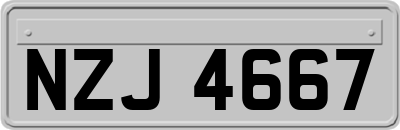 NZJ4667
