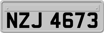 NZJ4673
