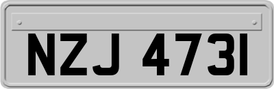 NZJ4731