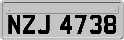 NZJ4738