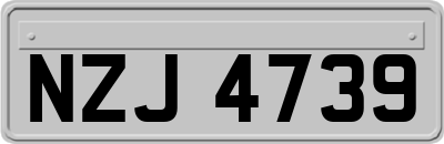 NZJ4739