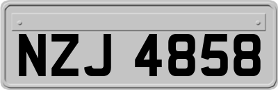 NZJ4858