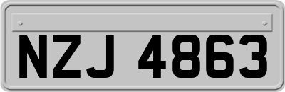 NZJ4863