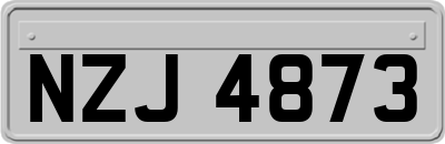 NZJ4873