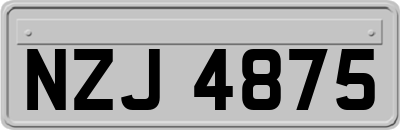 NZJ4875