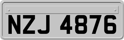 NZJ4876