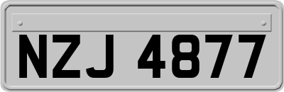 NZJ4877