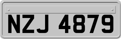 NZJ4879