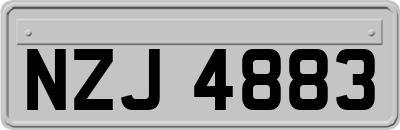 NZJ4883