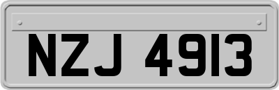 NZJ4913