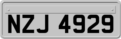 NZJ4929