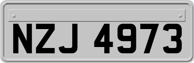 NZJ4973