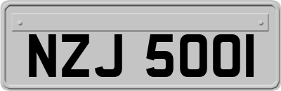 NZJ5001